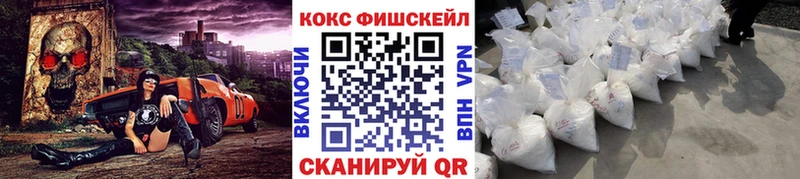 Купить закладки  Нефтегорск  Cocaine Fish Scale 