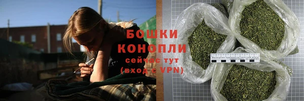 ПСИЛОЦИБИНОВЫЕ ГРИБЫ Горняк