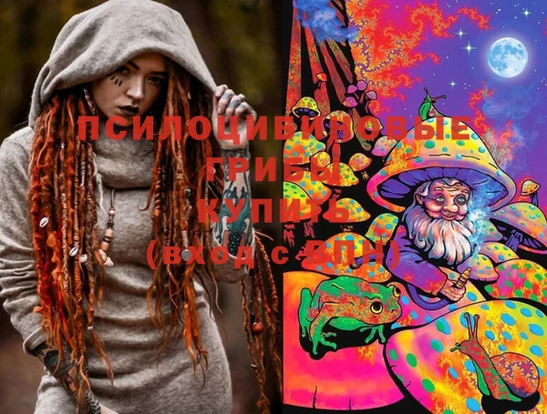ПСИЛОЦИБИНОВЫЕ ГРИБЫ Горняк