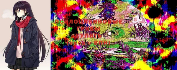 мескалин Горнозаводск